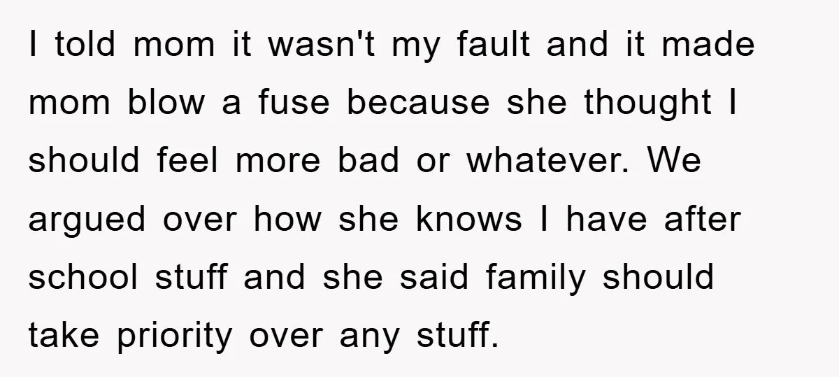 I told mom it wasn't my fault and it made mom blow a fuse because she thought I should feel more bad or whatever. We argued over how she knows...