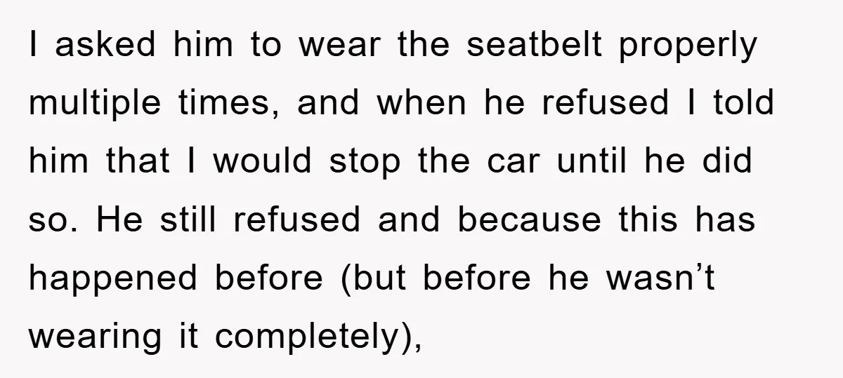 I asked him to wear the seatbelt properly multiple times, and when he refused I told him that I would stop the car until he did so. He still refused...