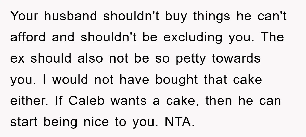 Your husband shouldn't buy things he can't afford and shouldn't be excluding you. The ex should also not be so petty towards you. I would not have bought that cake...