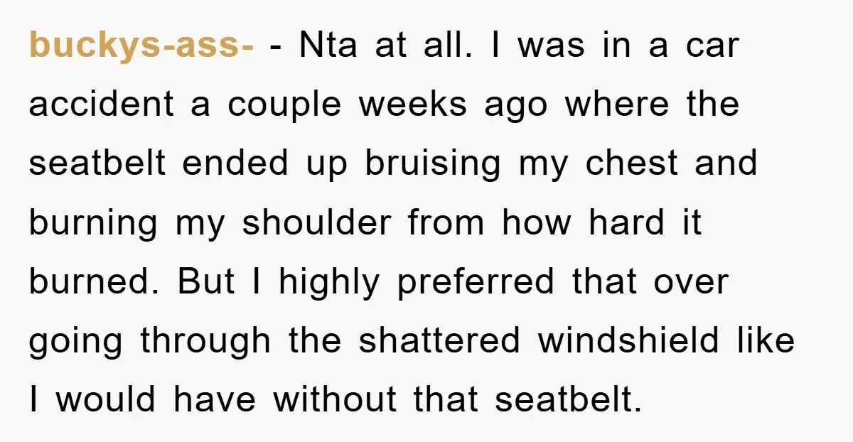 buckys-ass- − Nta at all. I was in a car accident a couple weeks ago where the seatbelt ended up bruising my chest and burning my shoulder from how hard...