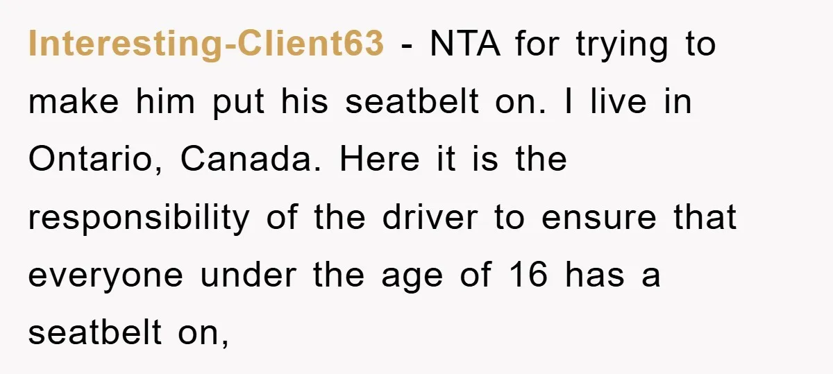 Interesting-Client63 − NTA for trying to make him put his seatbelt on. I live in Ontario, Canada. Here it is the responsibility of the driver to ensure that everyone under...