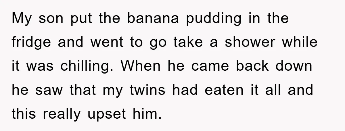 My son put the banana pudding in the fridge and went to go take a shower while it was chilling. When he came back down he saw that my twins...