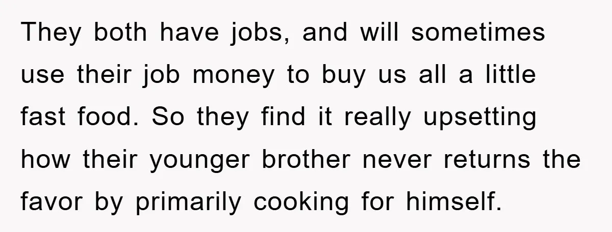 They both have jobs, and will sometimes use their job money to buy us all a little fast food. So they find it really upsetting how their younger brother never...