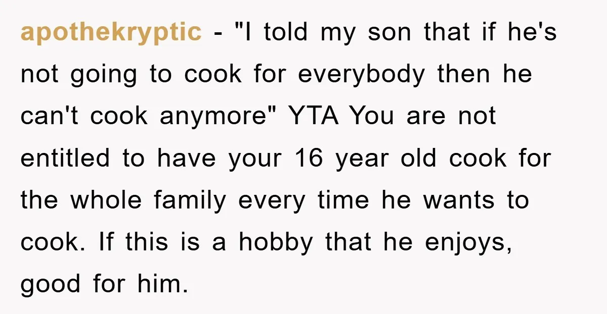 apothekryptic − "I told my son that if he's not going to cook for everybody then he can't cook anymore" YTA You are not entitled to have your 16 year...