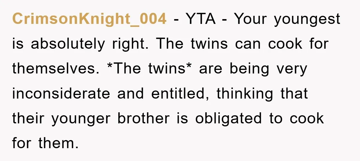 CrimsonKnight_004 − YTA - Your youngest is absolutely right. The twins can cook for themselves. *The twins* are being very inconsiderate and entitled, thinking that their younger brother is obligated...