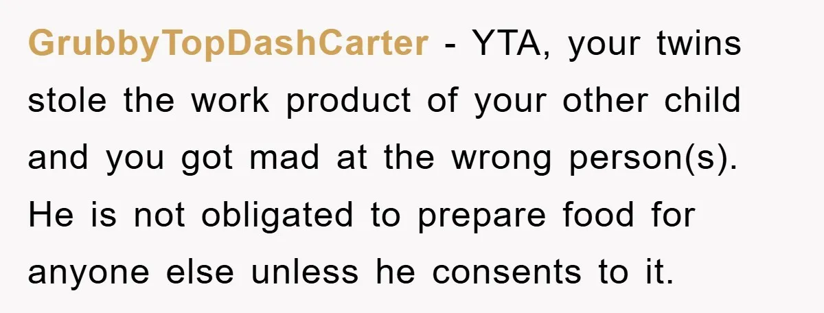 GrubbyTopDashCarter − YTA, your twins stole the work product of your other child and you got mad at the wrong person(s). He is not obligated to prepare food for anyone...