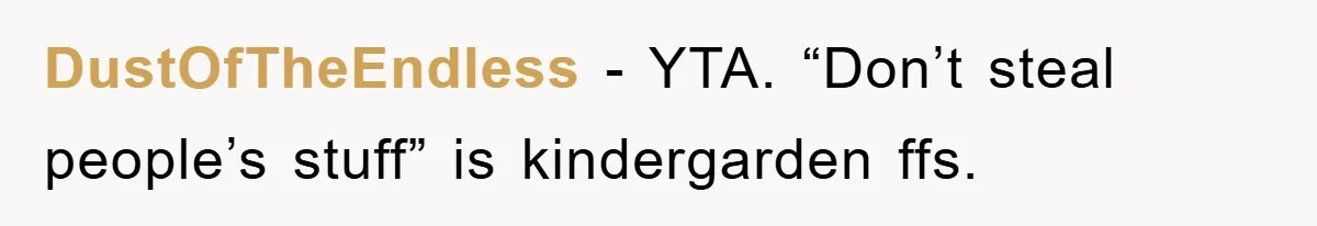 DustOfTheEndless − YTA. “Don’t steal people’s stuff” is kindergarden ffs.