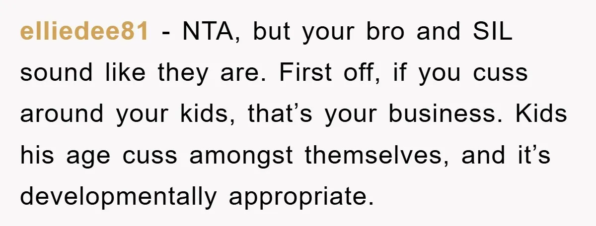 elliedee81 − NTA, but your bro and SIL sound like they are. First off, if you cuss around your kids, that’s your business. Kids his age cuss amongst themselves, and...
