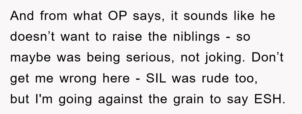 And from what OP says, it sounds like he doesn’t want to raise the niblings - so maybe was being serious, not joking. Don’t get me wrong here - SIL...