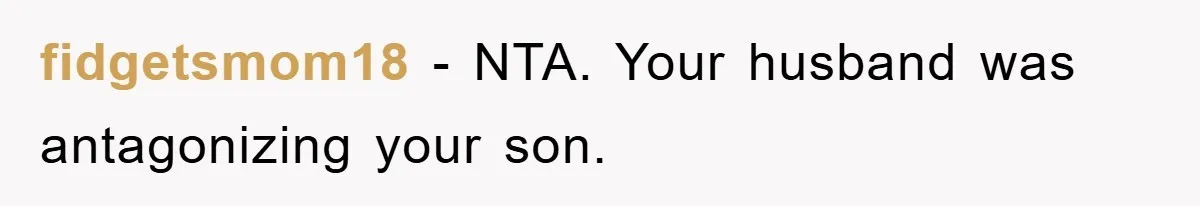 fidgetsmom18 − NTA. Your husband was antagonizing your son.