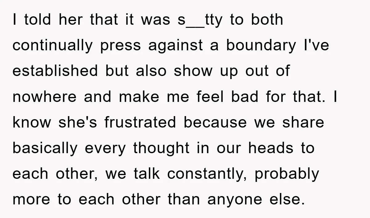 I told her that it was s__tty to both continually press against a boundary I've established but also show up out of nowhere and make me feel bad for that....
