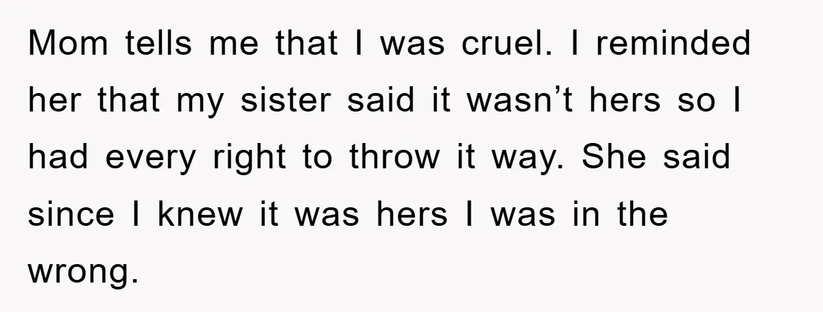 Mom tells me that I was cruel. I reminded her that my sister said it wasn’t hers so I had every right to throw it way. She said since I...