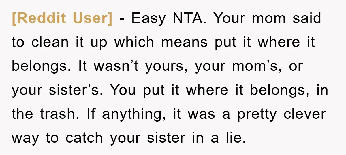 [Reddit User] − Easy NTA. Your mom said to clean it up which means put it where it belongs. It wasn’t yours, your mom’s, or your sister’s. You put it...