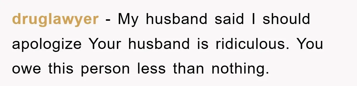 druglawyer − My husband said I should apologize Your husband is ridiculous. You owe this person less than nothing.