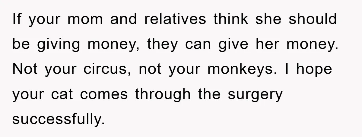 If your mom and relatives think she should be giving money, they can give her money. Not your circus, not your monkeys. I hope your cat comes through the surgery...