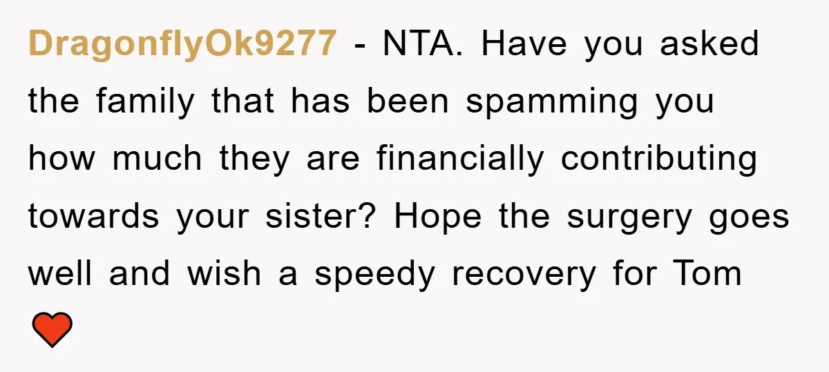 DragonflyOk9277 − NTA. Have you asked the family that has been spamming you how much they are financially contributing towards your sister? Hope the surgery goes well and wish a...