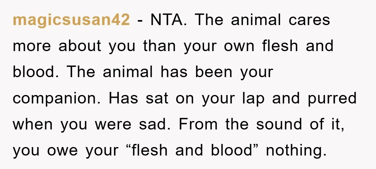 magicsusan42 − NTA. The animal cares more about you than your own flesh and blood. The animal has been your companion. Has sat on your lap and purred when you...