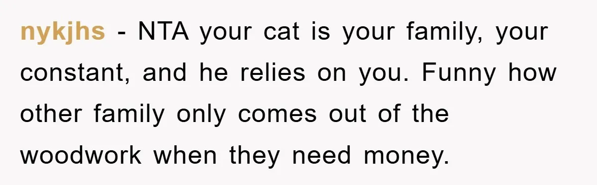 nykjhs − NTA your cat is your family, your constant, and he relies on you. Funny how other family only comes out of the woodwork when they need money.