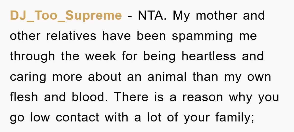 DJ_Too_Supreme − NTA. My mother and other relatives have been spamming me through the week for being heartless and caring more about an animal than my own flesh and blood....