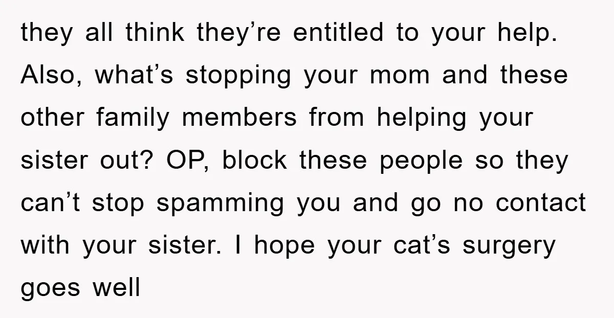 they all think they’re entitled to your help. Also, what’s stopping your mom and these other family members from helping your sister out? OP, block these people so they can’t...