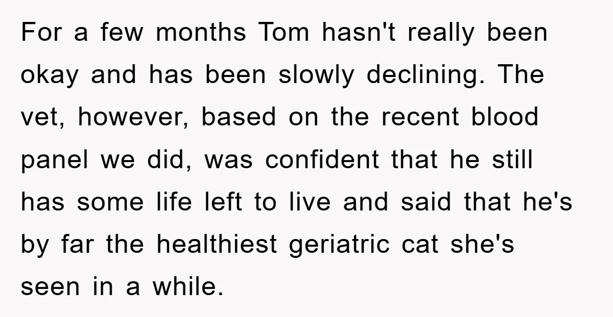 For a few months Tom hasn't really been okay and has been slowly declining. The vet, however, based on the recent blood panel we did, was confident that he still...