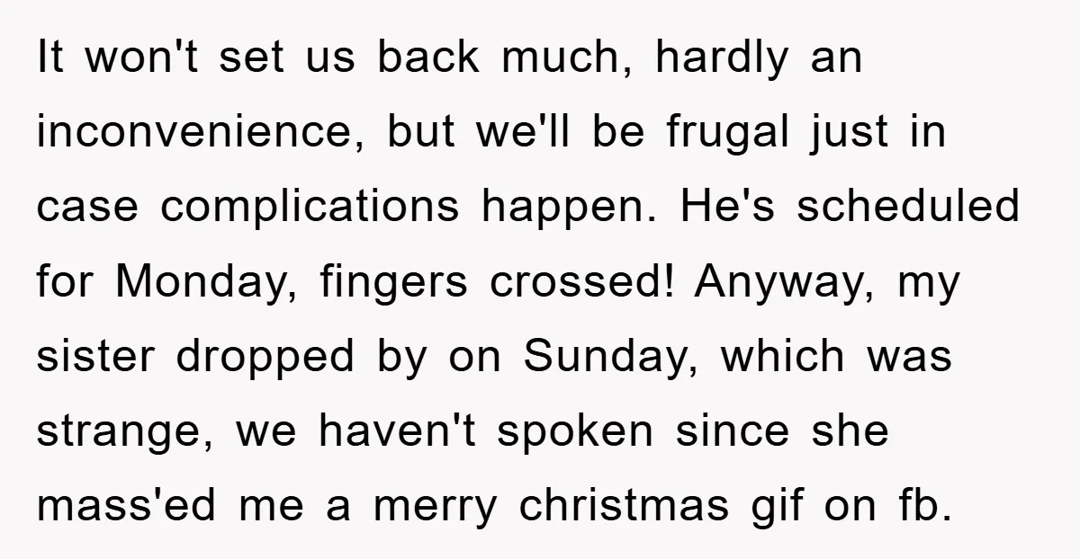 It won't set us back much, hardly an inconvenience, but we'll be frugal just in case complications happen. He's scheduled for Monday, fingers crossed! Anyway, my sister dropped by on...