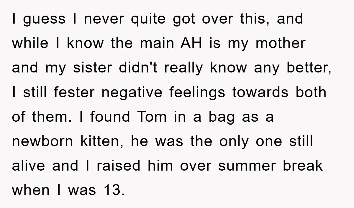 I guess I never quite got over this, and while I know the main AH is my mother and my sister didn't really know any better, I still fester negative...