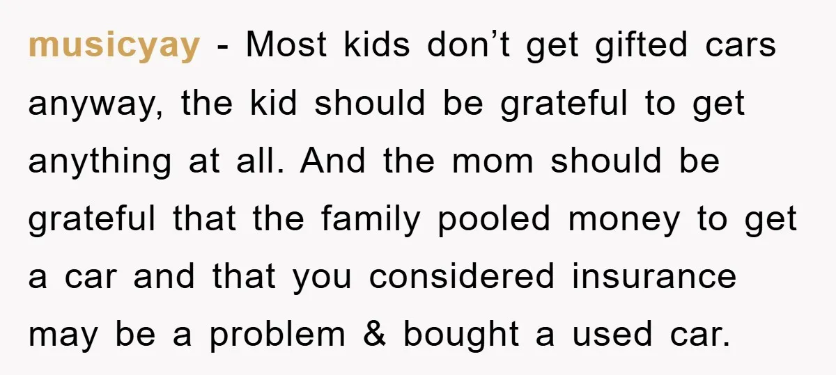 musicyay − Most kids don’t get gifted cars anyway, the kid should be grateful to get anything at all. And the mom should be grateful that the family pooled money...