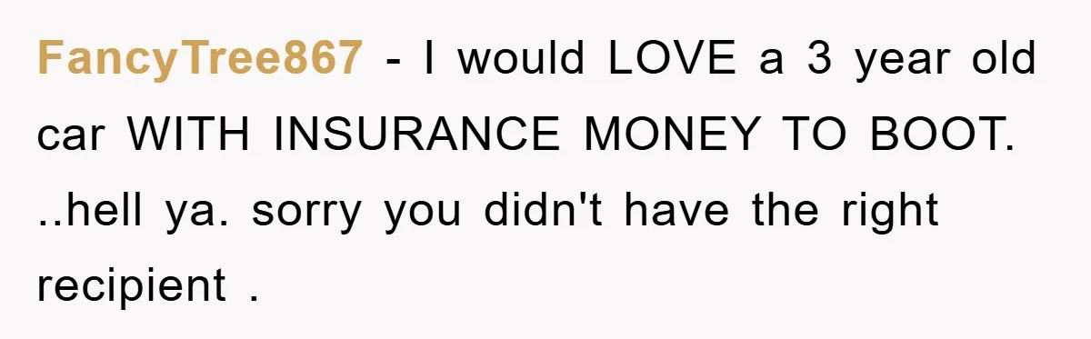 FancyTree867 − I would LOVE a 3 year old car WITH INSURANCE MONEY TO BOOT. ..hell ya. sorry you didn't have the right recipient .