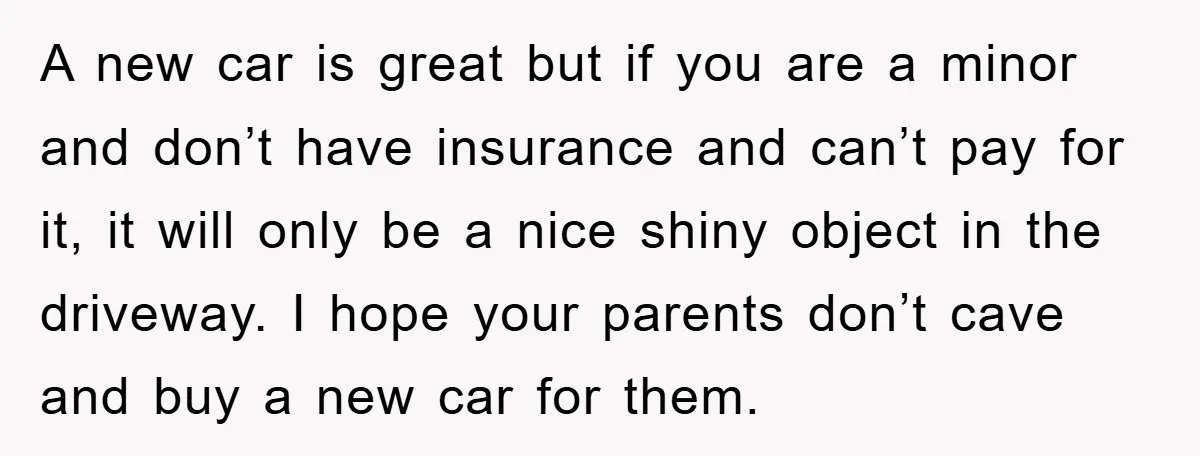 A new car is great but if you are a minor and don’t have insurance and can’t pay for it, it will only be a nice shiny object in the...