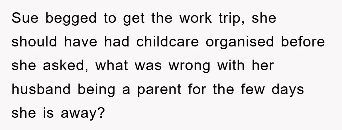 Sue begged to get the work trip, she should have had childcare organised before she asked, what was wrong with her husband being a parent for the few days she...