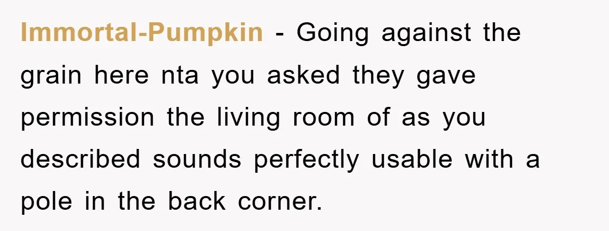 Immortal-Pumpkin − Going against the grain here nta you asked they gave permission the living room of as you described sounds perfectly usable with a pole in the back corner.