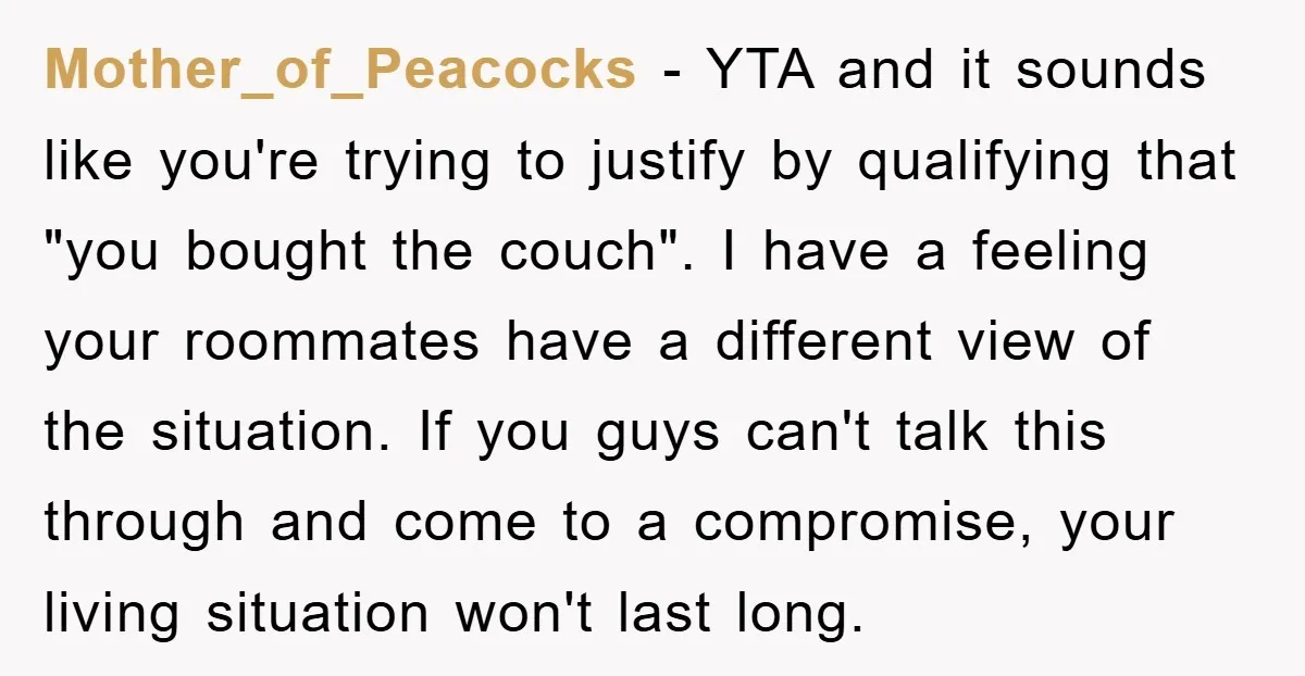 Mother_of_Peacocks − YTA and it sounds like you're trying to justify by qualifying that "you bought the couch". I have a feeling your roommates have a different view of the...