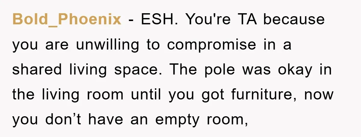 Bold_Phoenix − ESH. You're TA because you are unwilling to compromise in a shared living space. The pole was okay in the living room until you got furniture, now you...