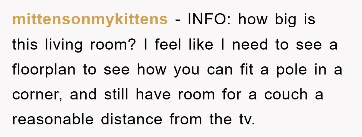 mittensonmykittens − INFO: how big is this living room? I feel like I need to see a floorplan to see how you can fit a pole in a corner, and...