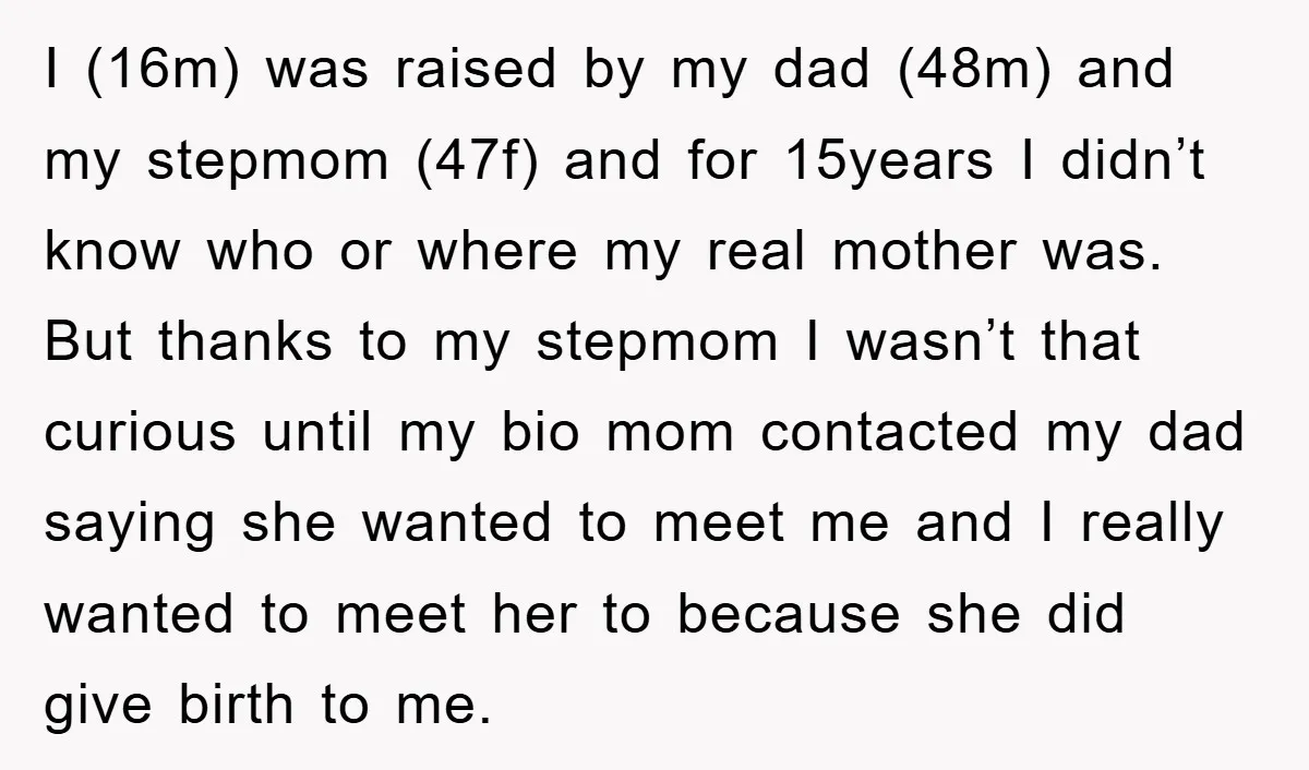 I (16m) was raised by my dad (48m) and my stepmom (47f) and for 15years I didn’t know who or where my real mother was. But thanks to my stepmom...