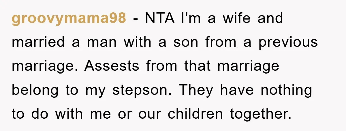 groovymama98 − NTA I'm a wife and married a man with a son from a previous marriage. Assests from that marriage belong to my stepson. They have nothing to do...