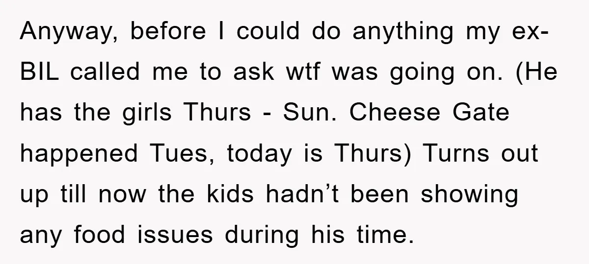 Anyway, before I could do anything my ex-BIL called me to ask wtf was going on. (He has the girls Thurs - Sun. Cheese Gate happened Tues, today is Thurs)...