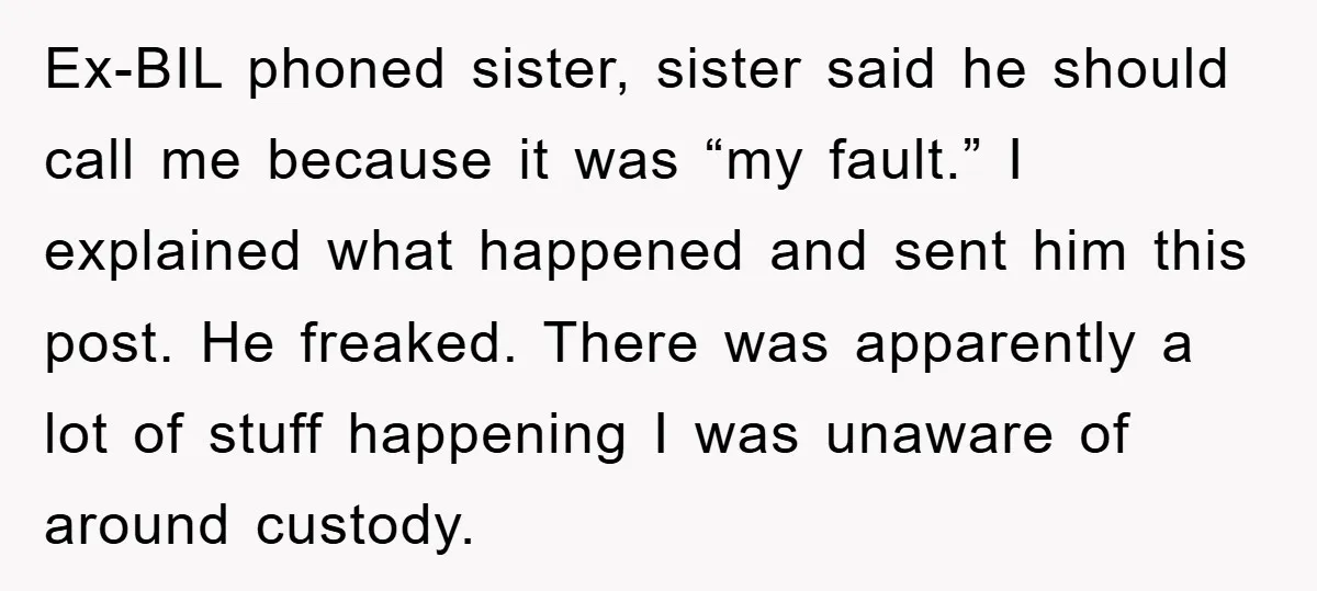Ex-BIL phoned sister, sister said he should call me because it was “my fault.” I explained what happened and sent him this post. He freaked. There was apparently a lot...