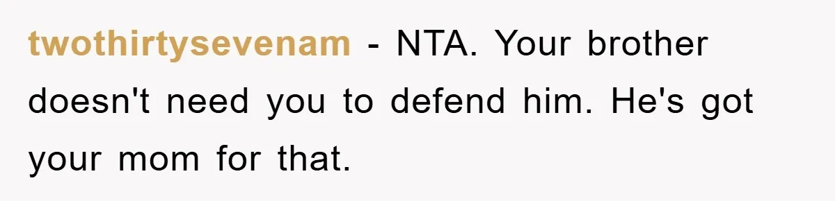 twothirtysevenam - NTA. Your brother doesn't need you to defend him. He's got your mom for that.
