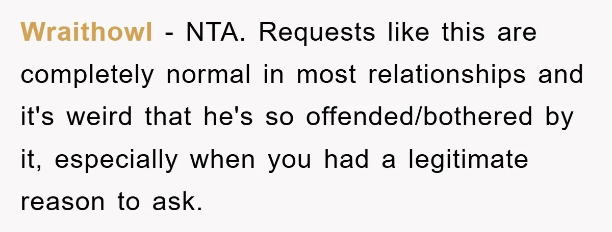 Wraithowl − NTA. Requests like this are completely normal in most relationships and it's weird that he's so offended/bothered by it, especially when you had a legitimate reason to ask.