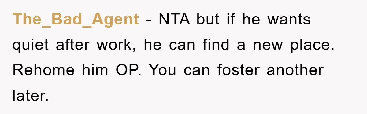 The_Bad_Agent − NTA but if he wants quiet after work, he can find a new place. Rehome him OP. You can foster another later.