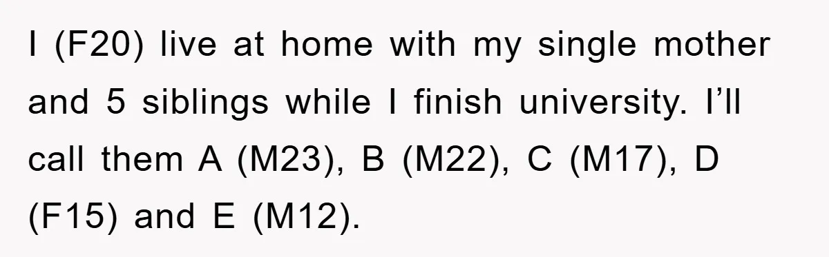 I (F20) live at home with my single mother and 5 siblings while I finish university. I’ll call them A (M23), B (M22), C (M17), D (F15) and E (M12).