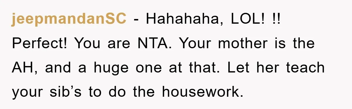 jeepmandanSC − Hahahaha, LOL! !! Perfect! You are NTA. Your mother is the AH, and a huge one at that. Let her teach your sib’s to do the housework.