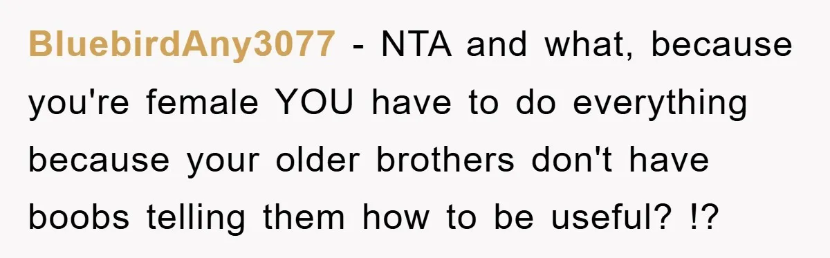 BluebirdAny3077 − NTA and what, because you're female YOU have to do everything because your older brothers don't have boobs telling them how to be useful? !?