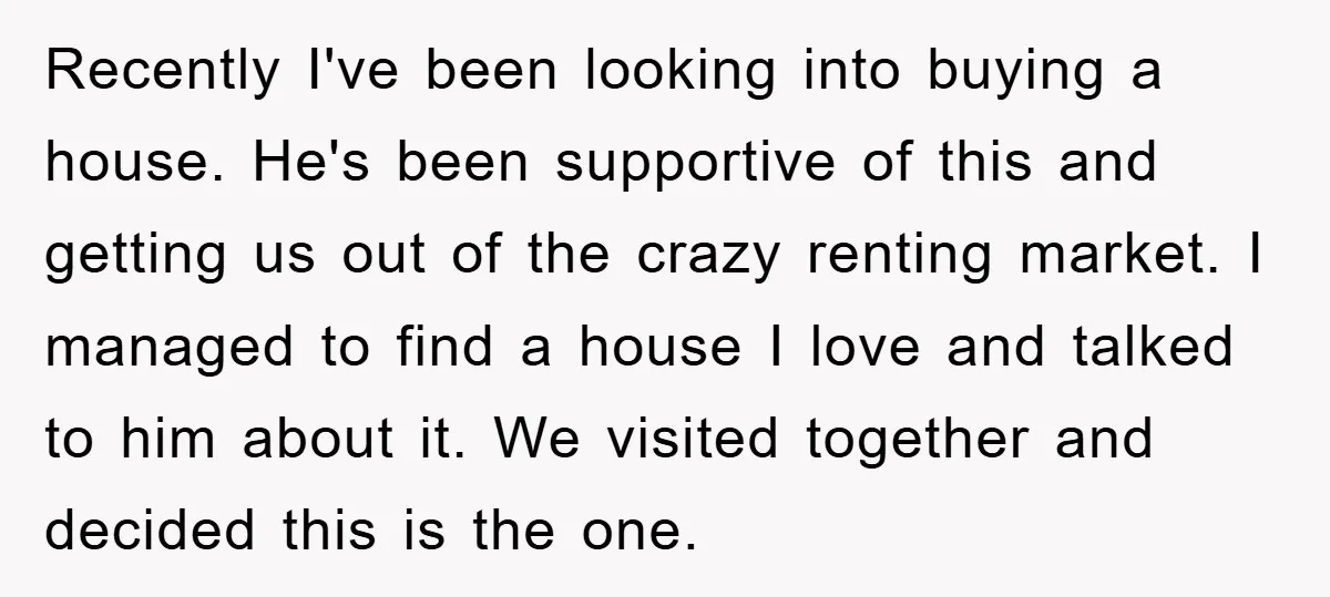 Recently I've been looking into buying a house. He's been supportive of this and getting us out of the crazy renting market. I managed to find a house I love...