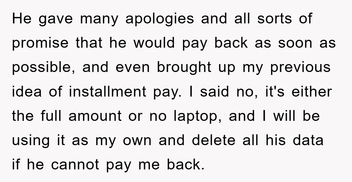 He gave many apologies and all sorts of promise that he would pay back as soon as possible, and even brought up my previous idea of installment pay. I said...