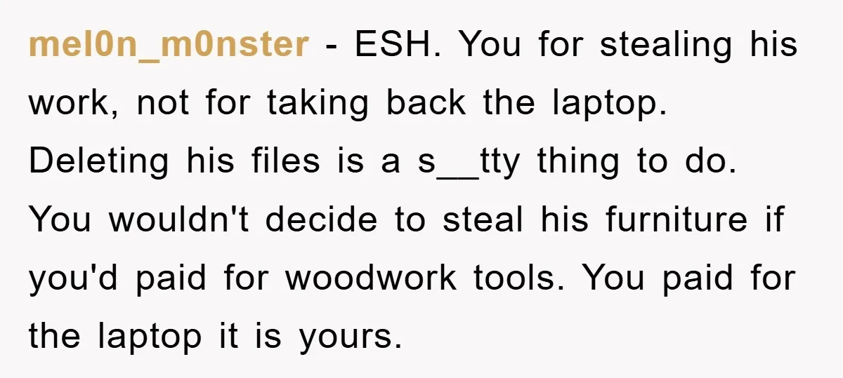 mel0n_m0nster − ESH. You for stealing his work, not for taking back the laptop. Deleting his files is a s__tty thing to do. You wouldn't decide to steal his furniture...