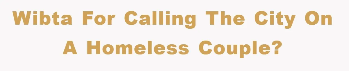 WIBTA for calling the city on a homeless couple?