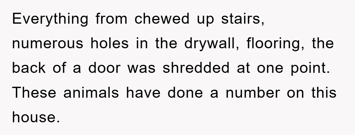 Everything from chewed up stairs, numerous holes in the drywall, flooring, the back of a door was shredded at one point. These animals have done a number on this house.